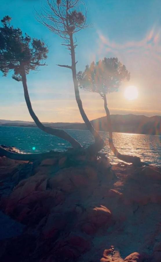 Palombaggia Location I Pini Porto Vecchio Hotel ภายนอก รูปภาพ